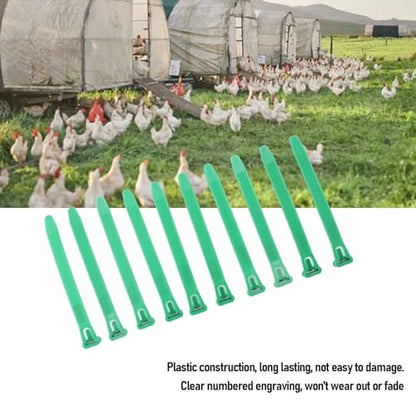 HEEPDD Chicken Leg Bands, Adjustable Fadeless Numbered Plastic Poultry Identification Leg Rings with Clear Colorfast Engraving, for Duck Goose Chicken Management (Green) - color: Green