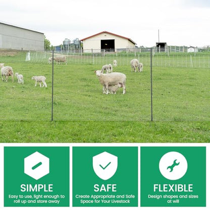 Non Electric Fence Netting 40" x164', Boundary Fence with Double Spiked Posts, Portable Poultry Fence All-Purpose Fencing for Dogs, Chickens, Ducks, Turkeys Suitable in Backyard, Garden, Farm