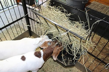 Premium Wall-Mount Metal Hay Feeder for Goats and Sheep - Essential Goat Supplies and Accessories for Barns, Pens, and Livestock Shelters. | Heavy duty made in USA wall mounted large capacity easy to install