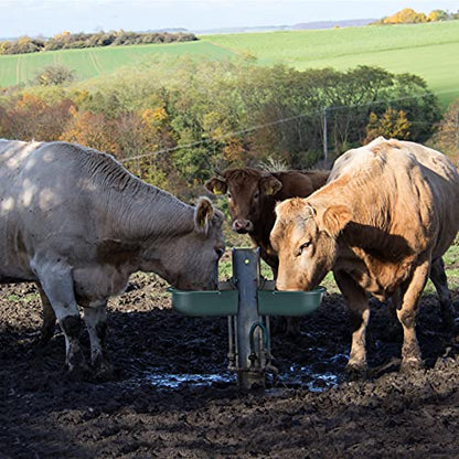 GOTOTOP Automatic Water Trough 4L Automatic Water Bowl Drinking Bowl Valve Water Trough Livestock Drinking Bowl for Horse Cattle Sheep Goat Cow 10.4 x 11.0inch