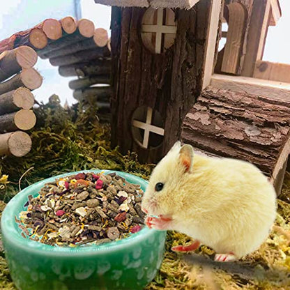 kathson 2 Pcs Hamster Food Bowl Guinea Pig Ceramic Water Bowl Small Animal Feeding Dish for Dwarf Hamster Gerbil Syrian Ferret Hedgehog Chinchilla Bunny (Green)… - color: Green