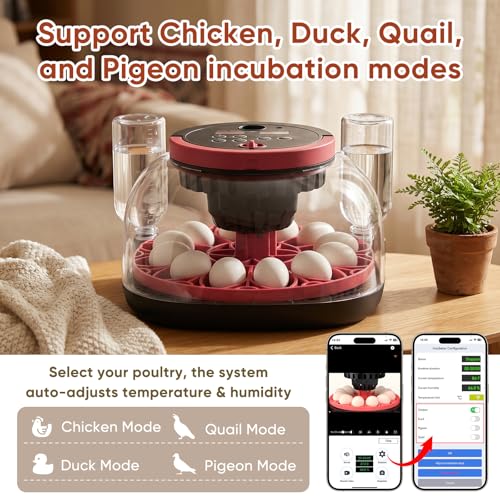 MYPIN Automatic 12-Egg Incubator with Camera & App Control, Smart Temperature Humidity Monitor, Auto Turner for Chicken Duck Quail Pigeon Hatching, Record Life's Birth Moments