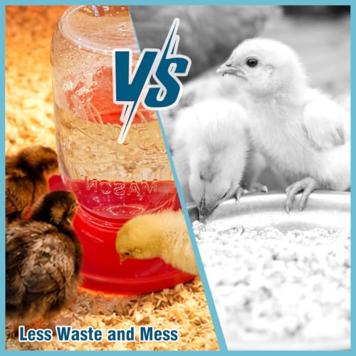 No Drown Screw-On Chick Waterer and Feeder Base Quail & Chick Compatible with 1 Little Pint Threaded Neck Bottle（Bottle not Included