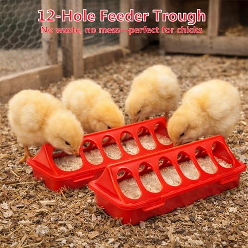 Chick Feeder and Waterer Set, 3 Pcs Baby Chicken Supplies with Chicks Feeder Trough and 1L Waterer, Chicken Starter Kit for Small Poultry Ducks Quail Coop