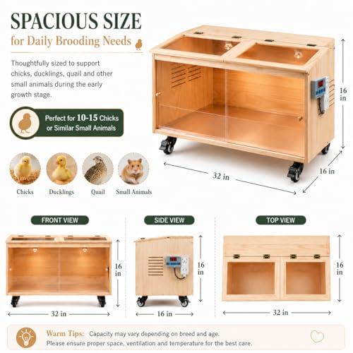 Brooder Box for Chicks, Premium Wooden Chicken Brooder Box with Heat Lamps, Thermostat & Locking Casters, Indoor Chick Brooder Box for Ducklings, Quail and Dwarf Hamster (32x16x16 in) - size: 32.0"L x 16.0"W x 16.0"H