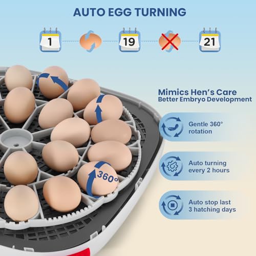 Sailnovo 24 Egg Incubators for Hatching Eggs - Automatic Temperature Control and Egg Turning, Egg Candler, 360° Clear View Incubator with 4 Hatching Modes for Chicken, Duck, Quail Eggs (Blue)