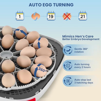 Sailnovo 24 Egg Incubators for Hatching Eggs - Automatic Temperature Control and Egg Turning, Egg Candler, 360° Clear View Incubator with 4 Hatching Modes for Chicken, Duck, Quail Eggs (Blue)
