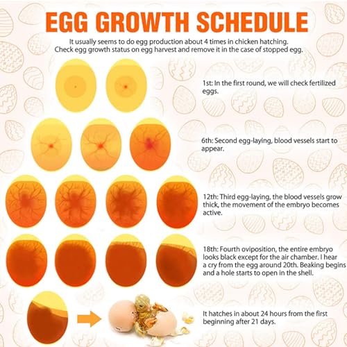 PerGar Egg Candler, Rechargeable Egg Candler Tester, Professional LED Light Egg Candler Incubator, Cool LED Light Candling Lamp, Candling Light Tester for Monitoring Eggs Development