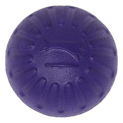 Starmark Fantastic DuraFoam Ball Tough Dog Toy, Color Varies Medium (Pack of 4) - size: Medium (Pack of 4)