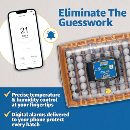 Brinsea Ovation 56 EX Connect App Controlled Egg Incubator with Automatic Egg Turning and Humidity Control for Hatching 56 Chicken, Duck, Other Eggs, Precision App-Driven Digital Controls and Alarms - style: Connected