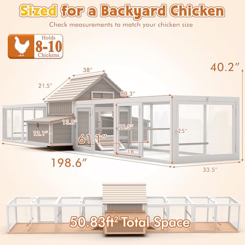 Ketive Extra Large Chicken Coop with 2 Runs for 8–10 Chickens Outdoor Wooden Hen House Poultry Cage with 6 Nesting Boxes, Dual Ramp Doors, Slide-Out Tray & Curved Roof (198.6" L x 38" W x 40.2" H) - size: 198.6"L x 38.0"W x 40.2"H