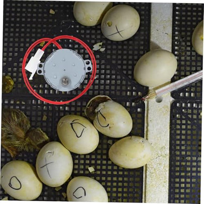 Mini Egg Turner Motor for Incubators 110V Automatic Egg Turner Tool Energy-efficient Metal Replacement Part for Chicken and Poultry Hatching