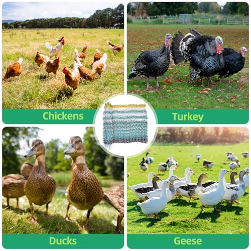 Poultry Netting Electric Fence, Portable Livestock Nets Mesh for Chickens, Ducks, Geese, Turkey, Electric Fencing for Backyards, Homesteaders, Farms, Ranches (Bright Blue, 41.5" H x 164' L Poultry)