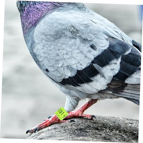 BESPORTBLE 100pcs Mixed Pigeon Leg Bands Foot Rings for Poultry Birds and Chickens Easy Identification Supplies for Racing Pigeons Parakeets and Style