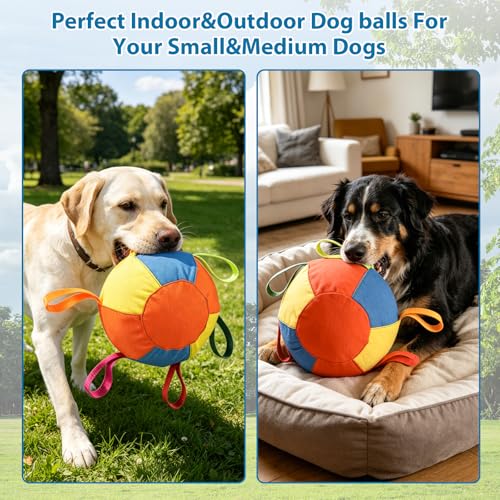 ZRW Calming Jumbo Ball for Dogs,Herding Ball for Dogs,Durable Tear-Resistant Inflatable Big Ball,Resistant Inflatable Big Ball with Handle Cover & Pump for Play & Exercise Dogs-(9.84in)