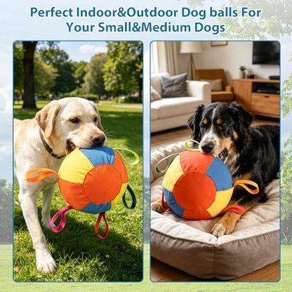 ZRW Calming Jumbo Ball for Dogs,Herding Ball for Dogs,Durable Tear-Resistant Inflatable Big Ball,Resistant Inflatable Big Ball with Handle Cover & Pump for Play & Exercise Dogs-(9.84in)