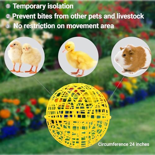 7.8" Ball-Shaped Movable Pigeon Chick Coop, Little Rabbit Duck Guinea Pig Safe Walking Net,Preventing Dog Bites, Predation by Eagles Wolves Cats Eagles, Pet Safety Cage - color: Yellow