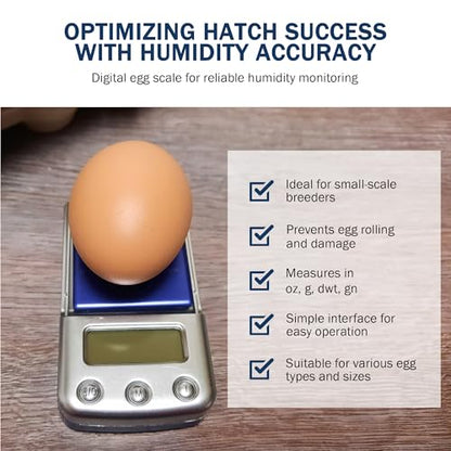 Digital Scale with Blue Backlit LCD Display - Accurate Humidity Measurement