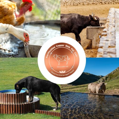 Copper Waterer Cleaning Disc, All Season Livestock Water Purifier Tray Keeps Water Clean for Poultry, Dogs & Cattle - size: ox
