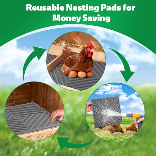 Chicken Nesting Pads for Chicken Coop, Washable Laying Pads for Nesting Box, Reusable Hen Nesting Box Pads for Coop Bedding, Soft Silicone Material, Easy to Clean, 12" x 12", Grey, 4 Pack - color: Grey-4 Pack