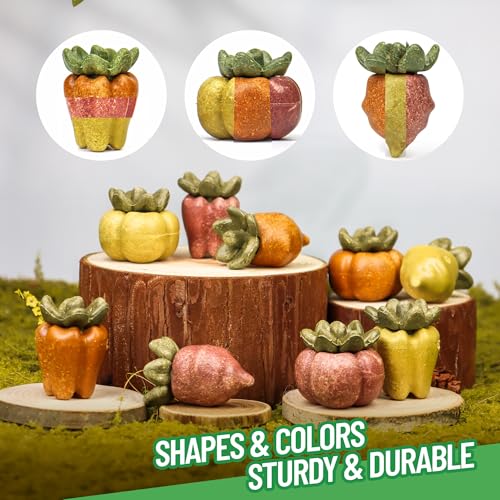 TEEWY Guinea Pig Chew Toys, Natural Vegetables and Timothy Grass, Hamster Chew Toys, Prevents Excessive Tooth Growth in Chinchillas, Gerbils, Hamsters, and Rabbits, Fruits & Vegetables Set - style: 3PCS-Fruit & Vegetable