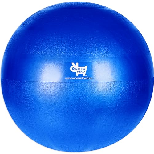 Race&Herd Herding Ball Inner Replacement for Dogs, Medium, 25'' (Blue) - size: 25" Replacement Inner Ball