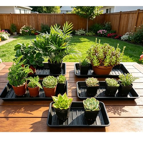 Plant Saucer Tray 6.5 x 13 Inch, Heavy Sturdy Long Narrow Plastic Plant Drainage Tray No Holes, Drip Tray for Pots, Seed Starter Growing Tray, Black - color: Black, size: 13" x 6.5" x 1.2" (6pack)