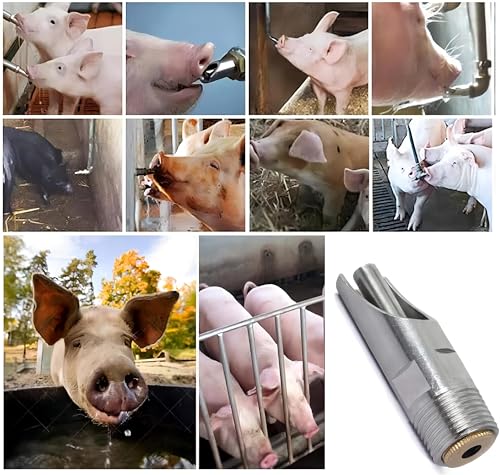 Pack of 20 Stainless Steel 1/2" NPT Automatic Pig Nipple Drinkers for Piglets Growers