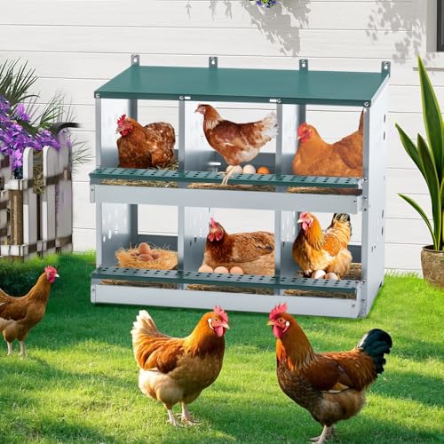 Durable Metal Chicken Nesting Box for Hens, Wall-Mounted Poultry Egg Laying Compartment with Ventilation and Easy-Clean Design (6-Hole,Green-1) - color: 6-Hole,Green-1