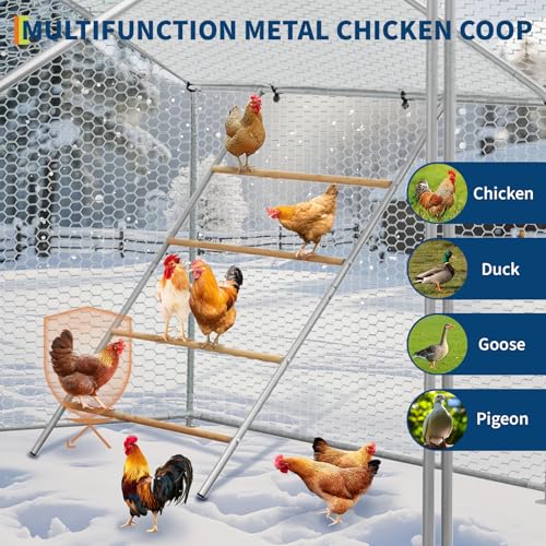 Chicken Roosting Bars for Coop, Metal Frame Chicken Perch for Outdoor Coop and Farms, Fits All Poultry & Baby Chicks, 40''L x 55''W - size: 39.4"L x 2.0"W x 55.1"H