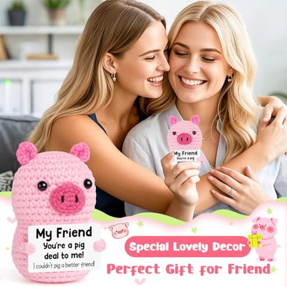 Mini Funny Pink Pig Best Friend Friendship Birthday Gifts for Women Men | Back to School Gift for College Student,Positive Handmade Crochet Gift for Friends Female Girl,Encouraging Pick Me Up Gift - style: Friend