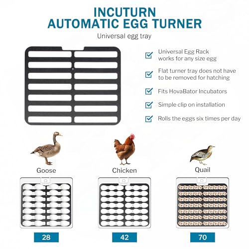 HovaBator 2370 Starter Egg Incubator Kit (No Additional Tray, Add HumidiKit) - size: No Additional Tray, style: Add HumidiKit