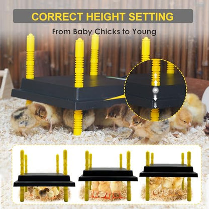 Eggluuz Chick Brooder Heating Plate, 12" x 12" Brooder Heater for Chicks with Adjustable Heights