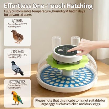 Quail Egg Incubator for Hatching 60 Quail Eggs with Automatic Egg Turning and Humidity Control, Small Quails Brooder Poultry Incubators or Partridge Parrot Pigeon and Other Bird in Home Farm - size: 66 Units
