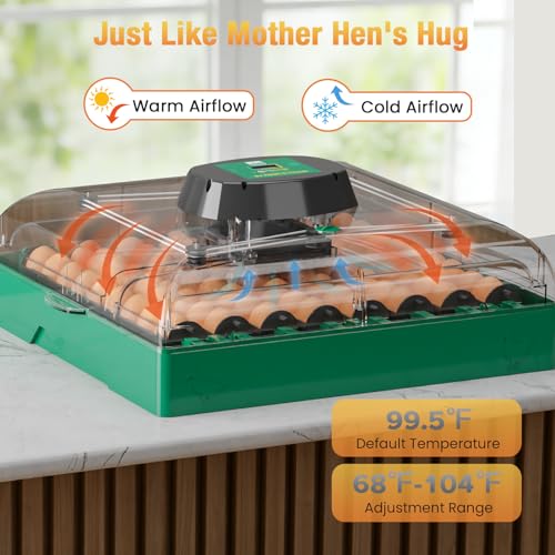 Egg Incubator for Chicken Eggs, Max 72 Egg Large Capacity with Automatic Egg Turner and Humidity Control, Egg Hatching Incubator for Chicken, Quail, Duck with 360° Clear View for Farm & Classroom