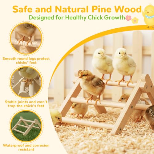 Innoland Chick Perch Foldable, Perch for Chicks Stable & No Assemble, Chick Roosting Perch for Stand Training, 11.02" × 9.84" × 6.10" Baby Chick Toys for Chicken Brooder | Coop (M) - size: 11.02" × 9.84" × 6.10"