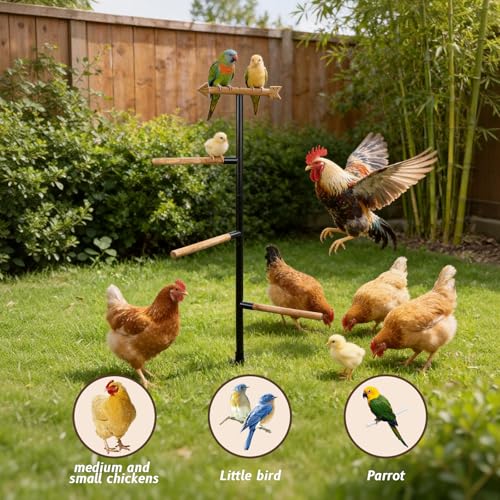 Tnstbiee Large Chicken Roosting Bars, Wooden 4-Branch Perch & Outdoor Bird Playground Toy,Chicken Perch for Coop & Backyard,50" H x 16.5" R, 4-Prong Metal Ground Plug,for Small Poultry, Bird & Parrots