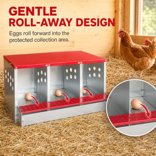 3-Compartment Roll Away Chicken Nesting Box for Hens, 32.6 Inch | Metal build, Egg collection tray, Perch, Protective lid, Wall mount, Freestanding setup, Ducks, Backyard coop, Barn supply - size: 32.6"L x 16.9"W x 13.9"H