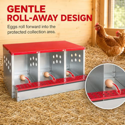 3-Compartment Roll Away Chicken Nesting Box for Hens, 32.6 Inch | Metal build, Egg collection tray, Perch, Protective lid, Wall mount, Freestanding setup, Ducks, Backyard coop, Barn supply - size: 32.6"L x 16.9"W x 13.9"H