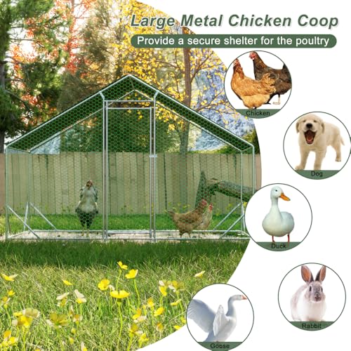 Sturdy Walk-in Chicken Run with Galvanized Steel Frame and PVC-Coated Hexagonal Wire Mesh for Outdoor Poultry Enclosure (3x2m) - color: 3x2m