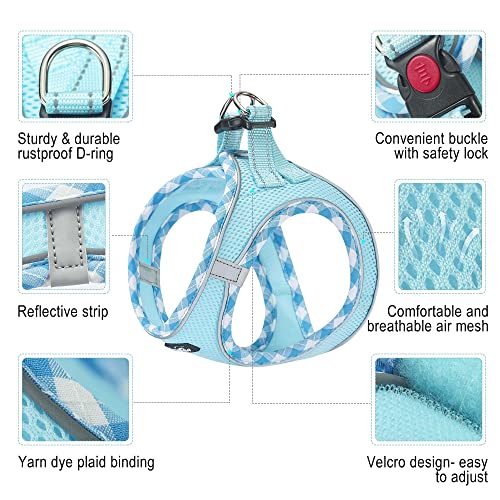 haapaw Dog Harness with Leash Set, No Pull Adjustable Reflective Step-in Puppy Harness with Thickened Padded Vest for Extra-Small/Small Medium Dogs - color: Turquoise, size: XS