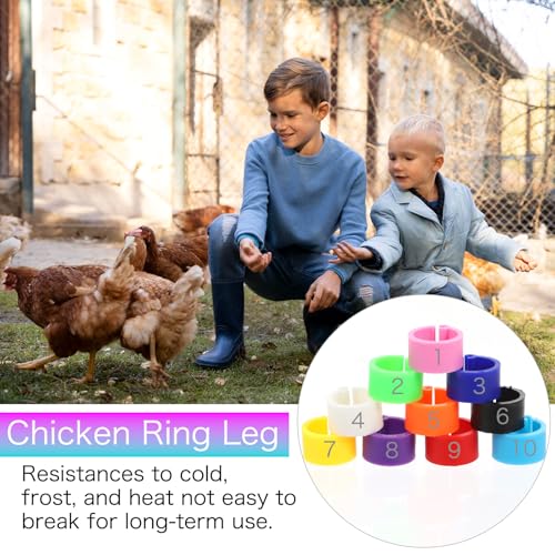 ElevateTech 200PCS 8mm Coturnix Quail Leg Bands Chicken Identification Band Bands Chicken Leg Band Rings Clip-On Round Tags Poultry IdentificationBand