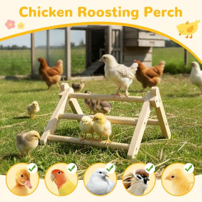 Innoland Chick Perch Foldable, Perch for Chicks Stable & No Assemble, Chick Roosting Perch for Stand Training, 11.02" × 9.84" × 6.10" Baby Chick Toys for Chicken Brooder | Coop (M) - size: 11.02" × 9.84" × 6.10"