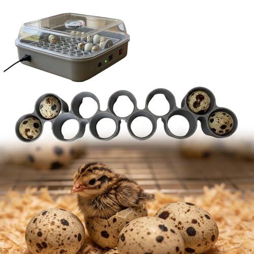 Custom Quail Egg Turner Tray Compatible with Maticoopx 20 Egg Incubator, Precision Fit Hatching Accessory for Small Eggs, 11 Slot Small Egg Tray Accessory - Durable Grey (M20) (Tray Only） - color: M20