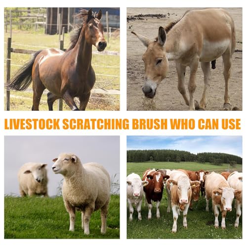 4pc Livestock Scratch Brushes, 20'' x 7.3'' Heavy Duty Cow Scratcher Wall Mount, Flexible Anti-Itch Grooming Tool for Cattle, Goat, Horse Grooming Supplies with Screws and Nuts - color: teal