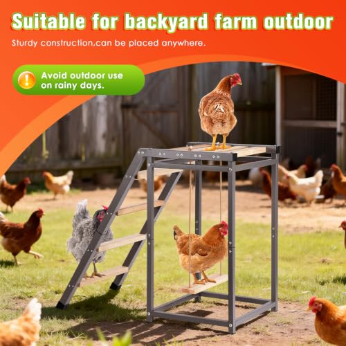 Chicken Coop Perch with Swing & Ladder for 6 to 10 Chickens