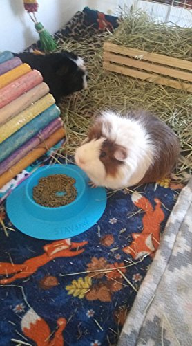 Tip-Proof Bowl for Guinea Pigs and Other Small Pets - Sky Blue - Large 3/4 Cup Size New (Pack of 2) - size: Large (Pack of 2)