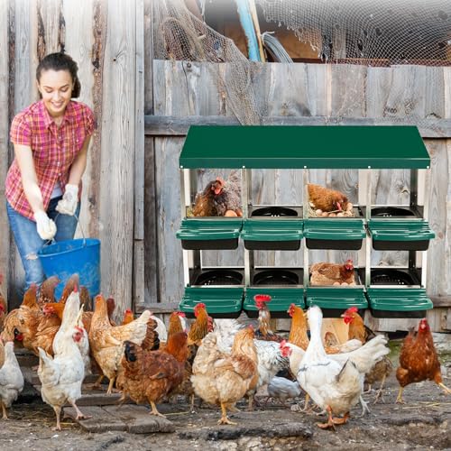 8 Hole Chicken Nesting Box, Roll Away Nest Boxes with Lid Cover to Protect Eggs, Poultry Nest Boxes for Chickens Laying Egg, Green