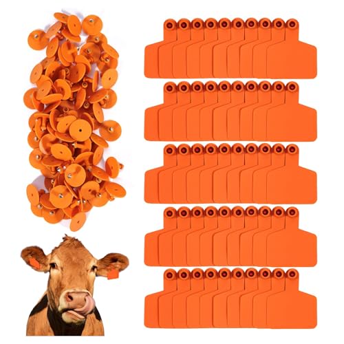 100 Blank Cattle Ear Tags | Large Plastic Precision Animal Identification Blank Livestock Ear Tags | Suitable for Farm Management of Cattle, Horses, Dogs, Pigs, Goats, and Sheep Orange - color: Orange