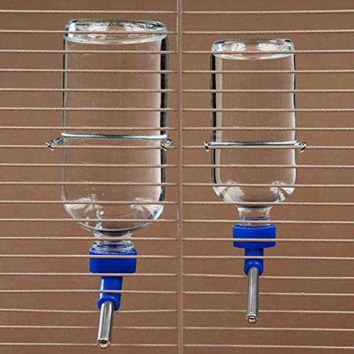 LIXIT Chew Proof Glass Water Bottle 16oz